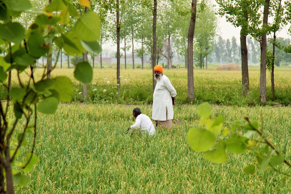 Farmers Villa Amritsar Exterior photo