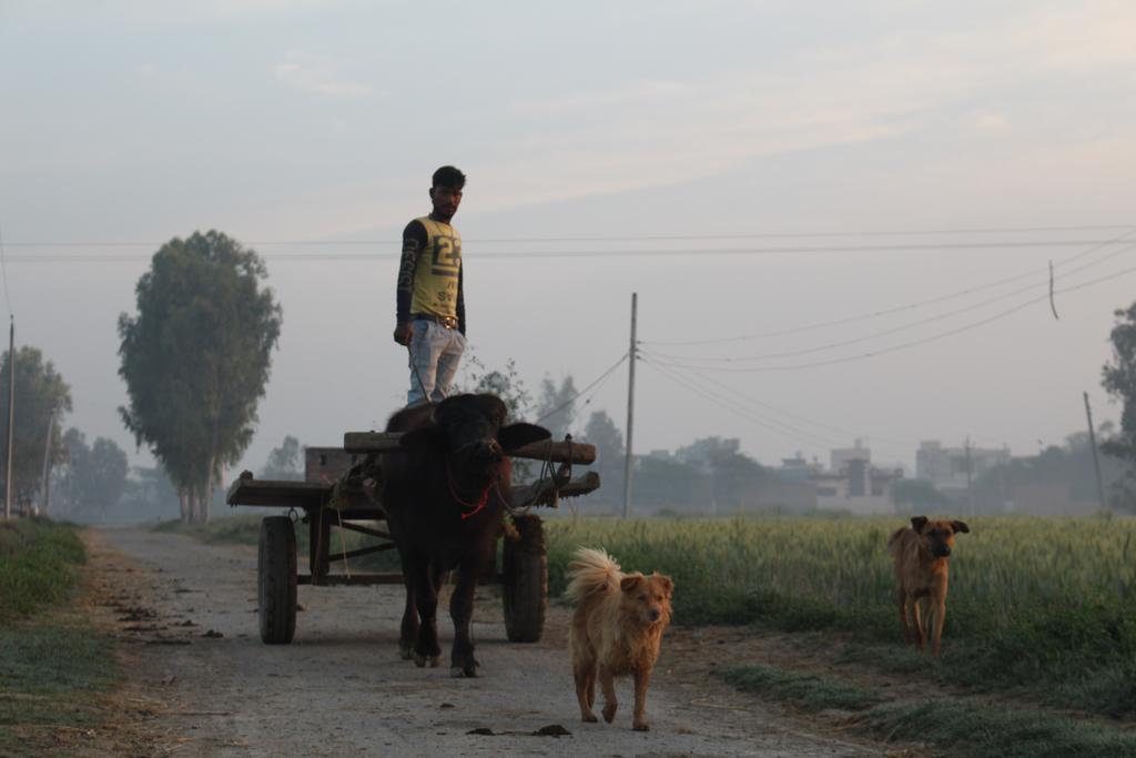 Farmers Villa Amritsar Exterior photo
