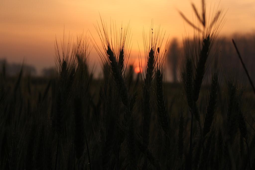 Farmers Villa Amritsar Exterior photo